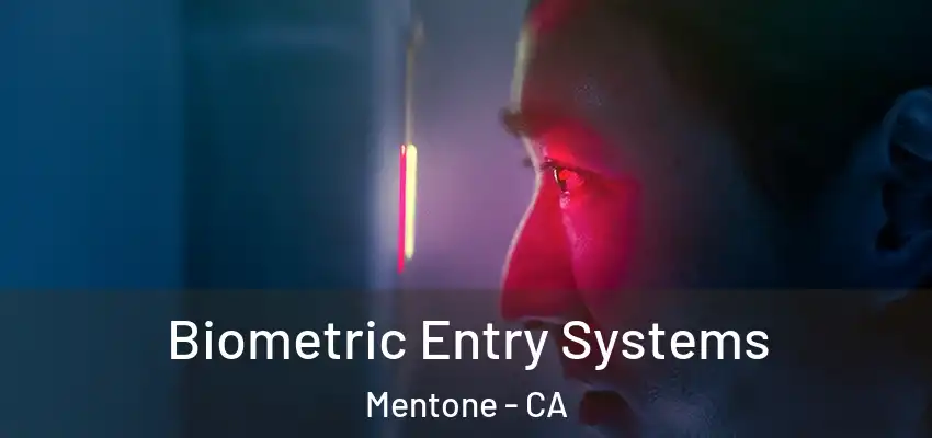  Biometric Entry Systems Mentone - CA