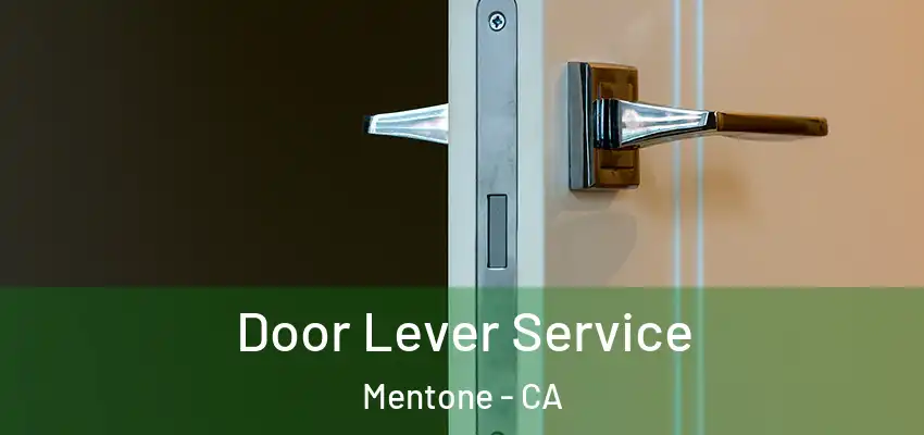 Door Lever Service Mentone - CA
