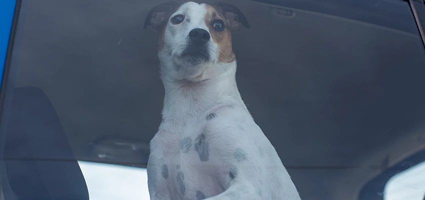 Car Lockout Solutions in Mentone, California