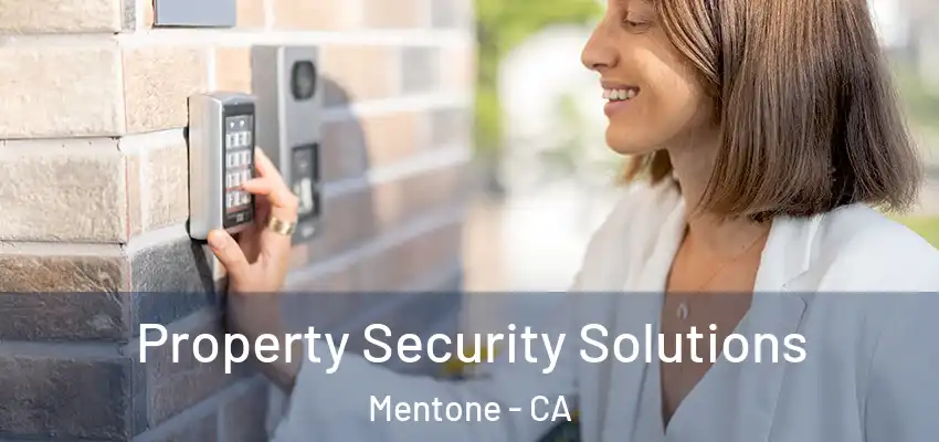 Property Security Solutions Mentone - CA